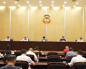  The Municipal People's Congress held a political briefing to actively promote the coordinated development of Dongguan and the Guangdong Hong Kong Macao Greater Bay Area